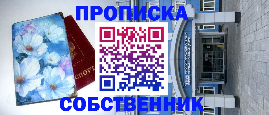 прописка 2025 в Камышине